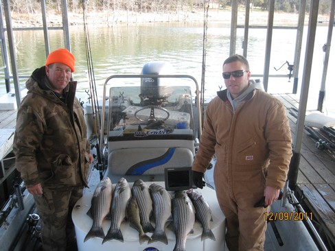 Nice Striped Bass