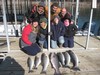 (12/16/2011) - Nice Striped Bass