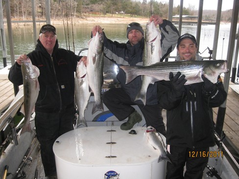 Nice Striped Bass