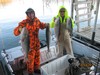 (12/23/2011) - Nice Striped Bass
