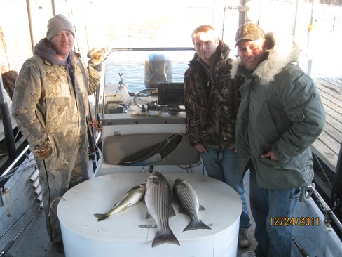 Nice Striped Bass