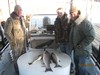 (12/24/2011) - Nice Striped Bass