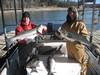 (12/27/2011) - Nice Striped Bass