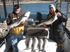 (12/30/2011) - Nice Striped Bass