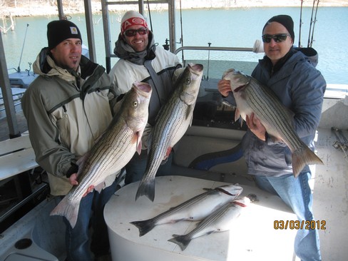 Nice Striped Bass