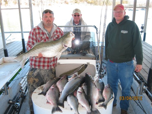 Nice Striped Bass