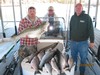 (03/04/2012) - Nice Striped Bass