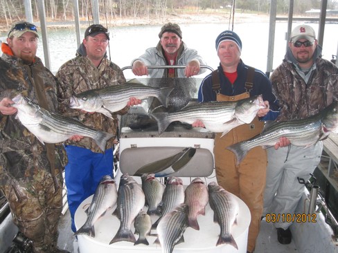 Nice Striped Bass