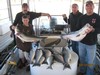 (03/12/2012) - Nice Striped Bass