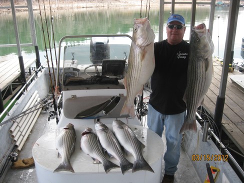 Nice Striped Bass