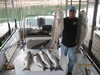 (03/15/2012) - Nice Striped Bass
