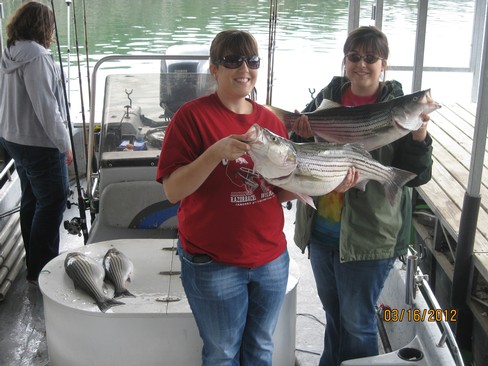 Nice Striped Bass