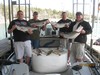 (03/17/2012) - Nice Striped Bass