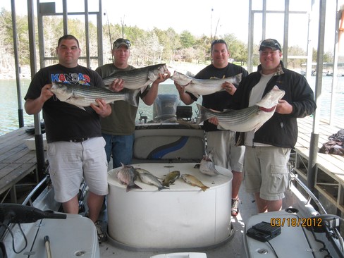 Nice Striped Bass