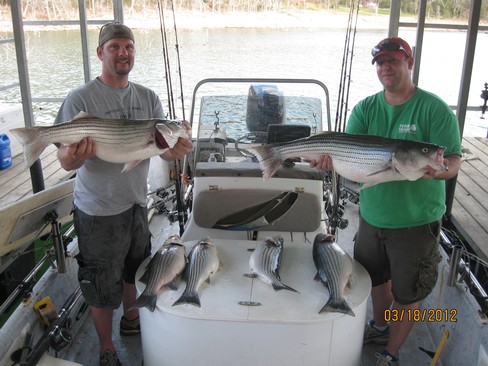 Nice Striped Bass