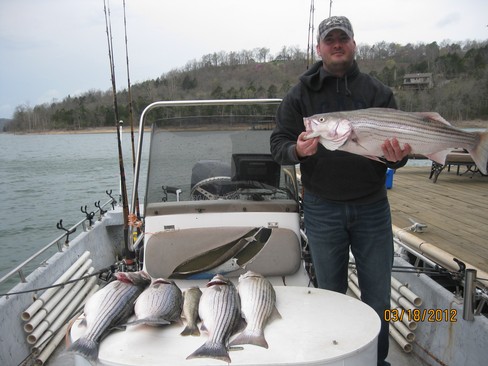 Nice Striped Bass