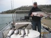 (03/19/2012) - Nice Striped Bass