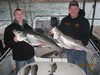 (03/22/2012) - Nice Striped Bass