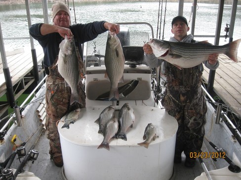 Nice Striped Bass