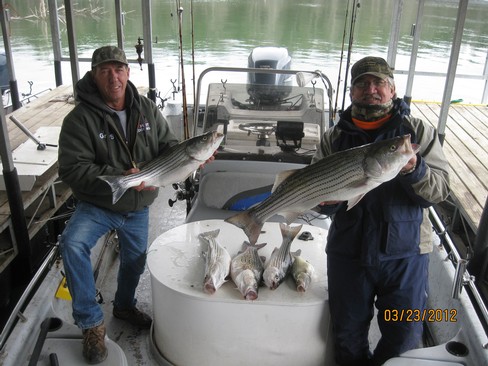 Nice Striped Bass