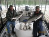 (03/23/2012) - Nice Striped Bass