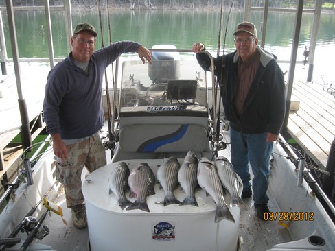 Nice Striped Bass