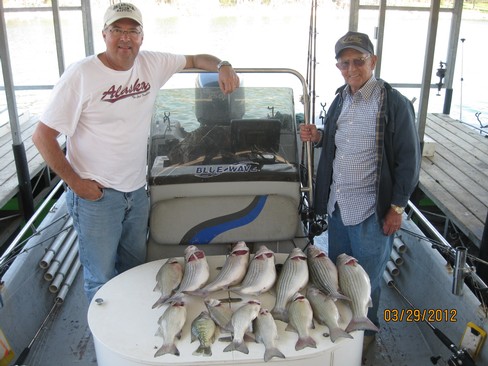 Nice Striped Bass