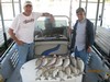 (03/29/2012) - Nice Striped Bass