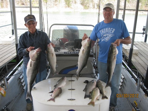 Nice Striped Bass