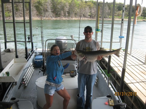 Nice Striped Bass