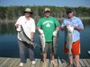 (03/31/2012) - Nice Striped Bass