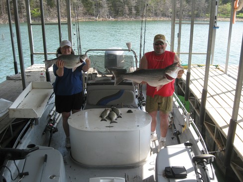 Nice Striped Bass