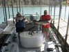 (04/01/2012) - Nice Striped Bass