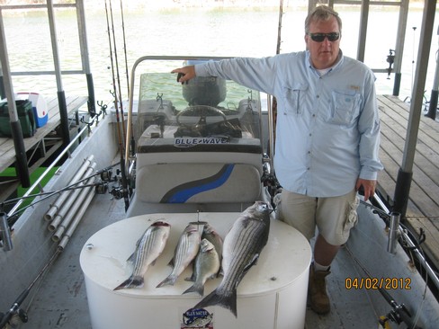 Nice Striped Bass