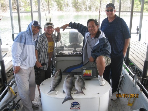Nice Striped Bass