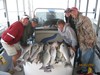 (04/05/2012) - Nice Striped Bass