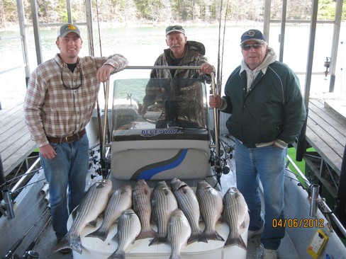 Nice Striped Bass