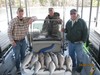 (04/06/2012) - Nice Striped Bass