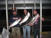 (04/07/2012) - Nice Striped Bass