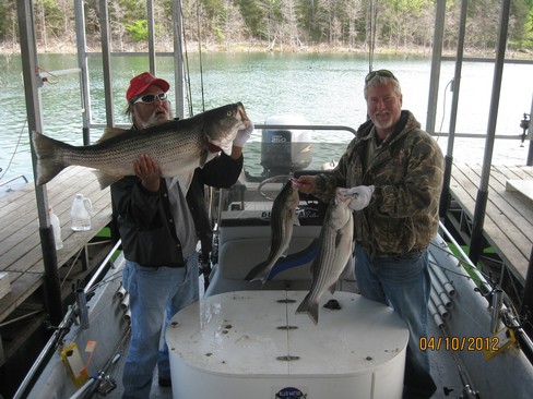 Nice Striped Bass