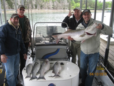 Nice Striped Bass