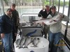 (04/12/2012) - Nice Striped Bass