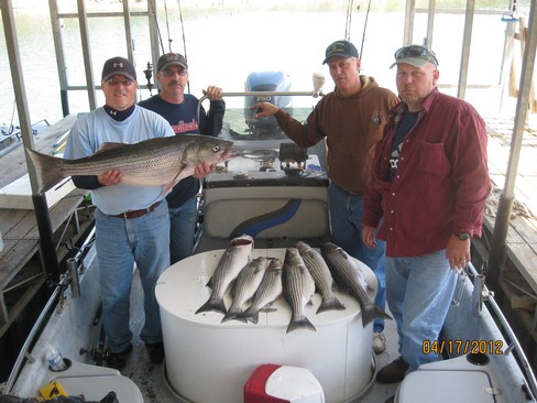 Nice Striped Bass
