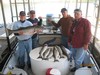 (04/17/2012) - Nice Striped Bass