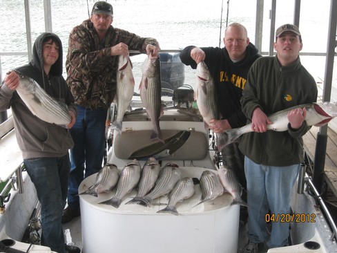 Nice Striped Bass