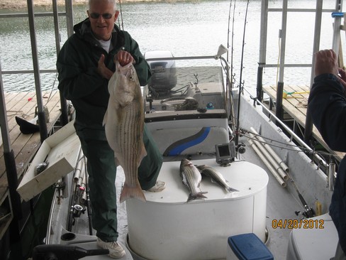 Nice Striped Bass