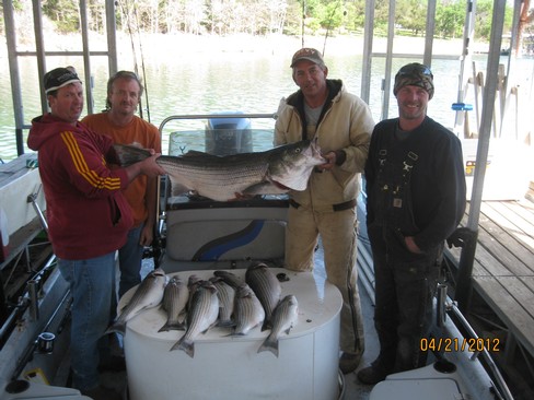 Nice Striped Bass