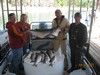 (04/21/2012) - Nice Striped Bass
