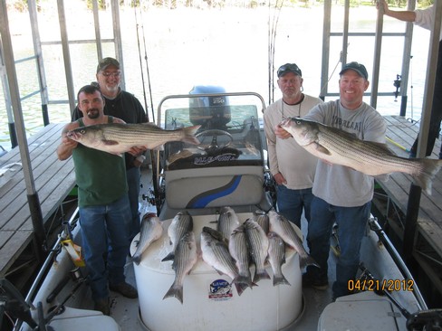 Nice Striped Bass