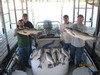 (04/21/2012) - Nice Striped Bass